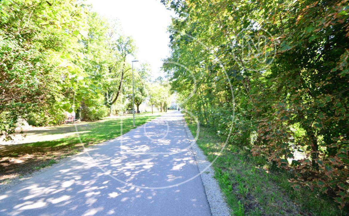 Breiter Spazierweg durch eine grüne Parkanlage mit dichtem Baumbestand und viel Tageslicht.