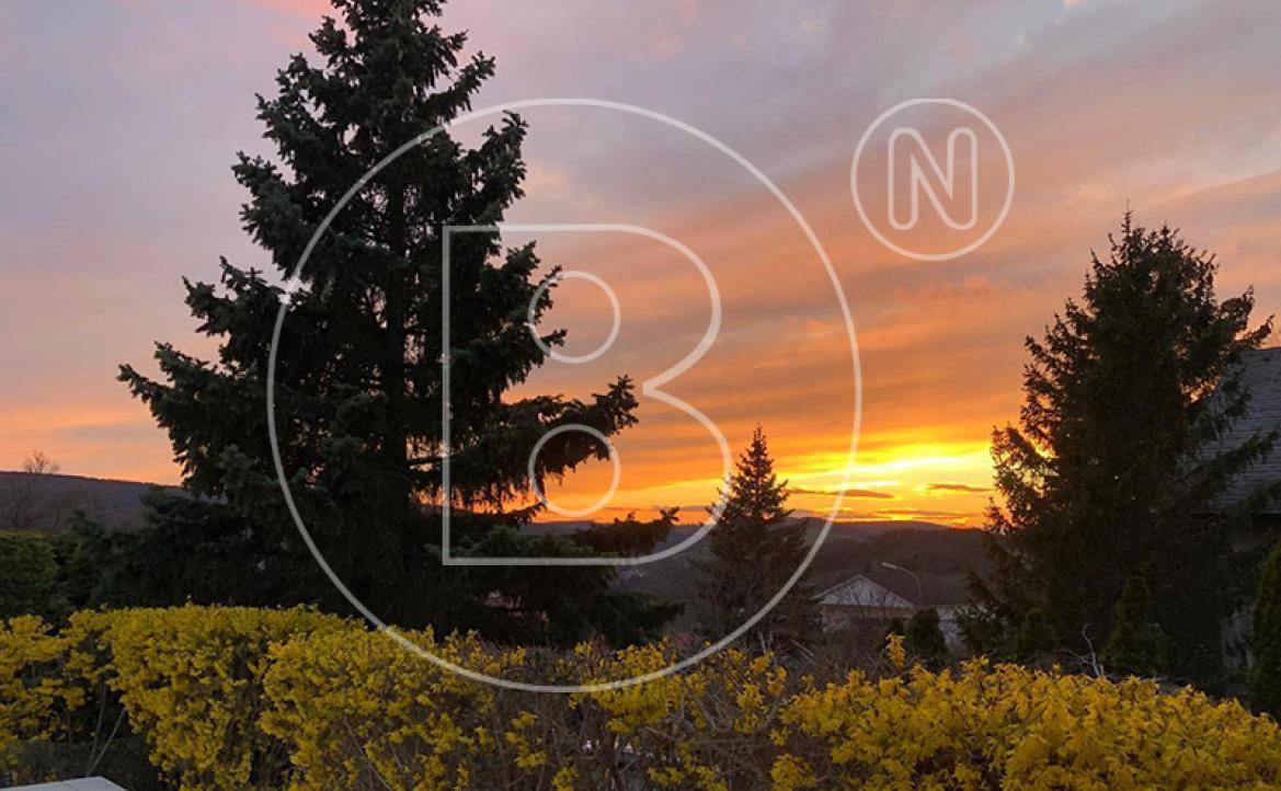 Malerischer Sonnenuntergang über der Landschaft, umrahmt von hohen Nadelbäumen und blühenden gelben Sträuchern.