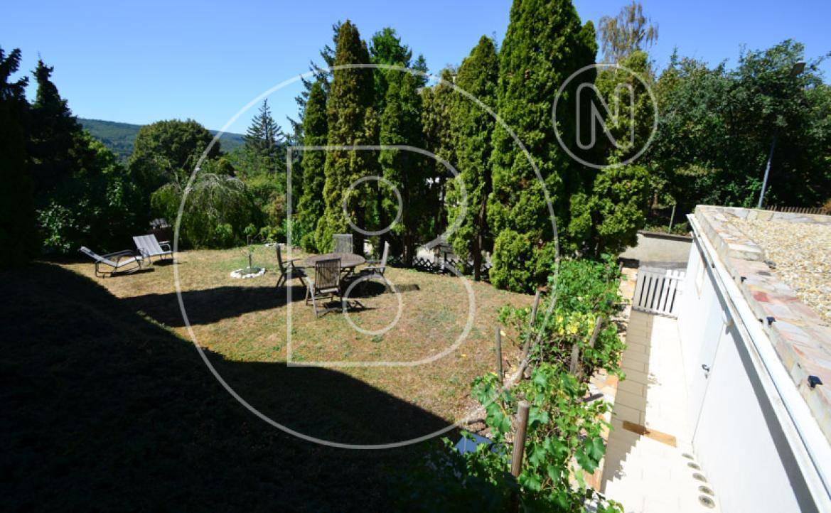 Weitläufiger Garten mit Rasenfläche, Sitzgruppe und üppiger grüner Bepflanzung.