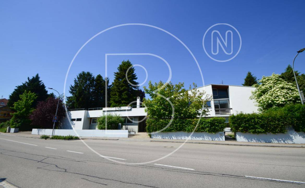 Weitläufige Ansicht des modernen Hauses von der Straße, umgeben von Bäumen und Hecken.