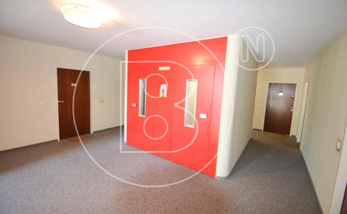 Heller Gemeinschaftsflur mit grauem Teppichboden und einer auffälligen roten Wand.