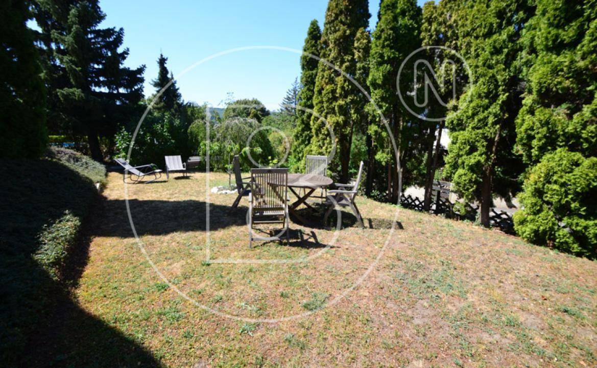 Großer, grüner Gartenbereich mit Rasenfläche und rustikalen Gartenmöbeln unter hohen Bäumen.