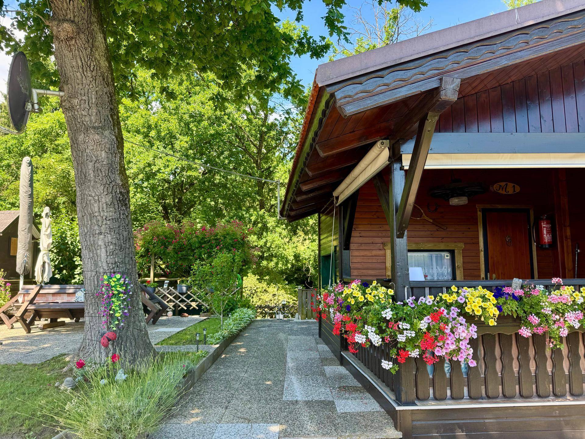 Eingangsbereich des Holzhauses mit gepflastertem Weg und bunten Blumenkästen.