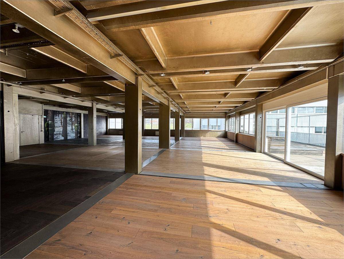 Großzügige Büro-Gewerbefläche mit Dachterrasse Salzburg - Ansicht 5