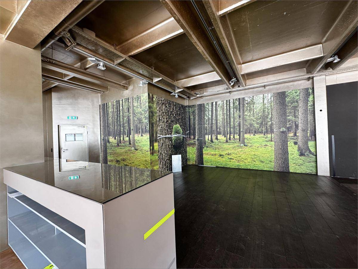 Moderner Empfangsbereich mit dunklem Holzboden, einer Theke und einer beeindruckenden Waldtapete.