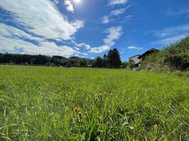 Weitläufiges grünes Feld unter blauem Himmel mit einem Haus in der Ferne.