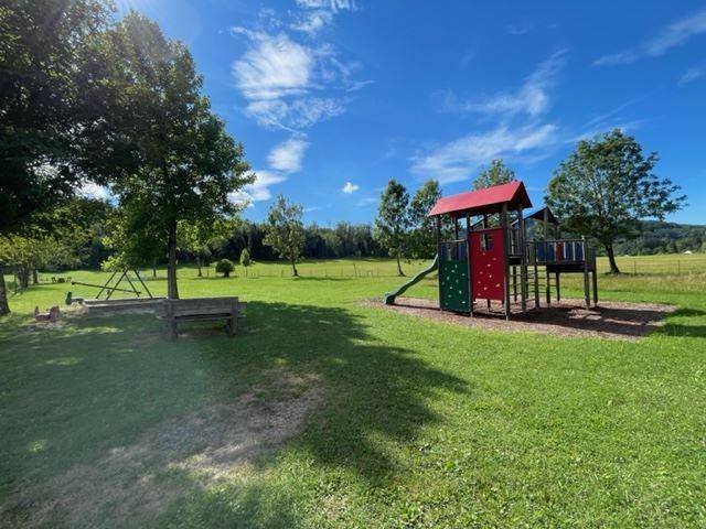 Sonniger Spielplatz mit Rutsche und Schaukeln in einer weitläufigen Grünanlage.