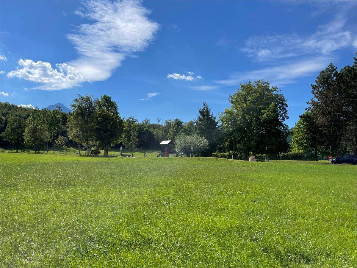 Weitläufige grüne Wiese mit Bäumen und einem kleinen Spielplatz im Hintergrund unter blauem Himmel.