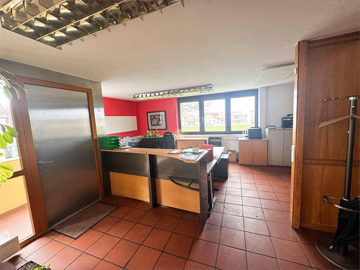 Großzügiges Büro mit hellgrüner Wand, breiten Fenstern und einem bequemen weißen Sofa.