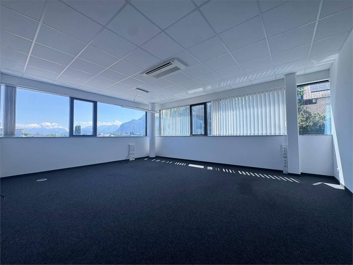 Großes Büro mit weitem Bergblick durch die Fenster und dunklem Teppichboden.