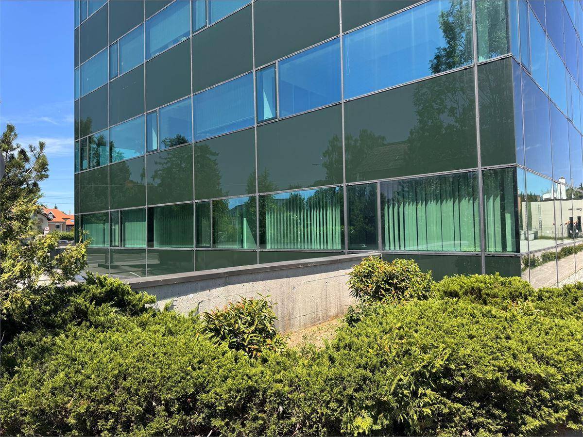 Moderne Gebäudefassade mit reflektierenden Glasflächen und gepflegten Büschen im Vordergrund.
