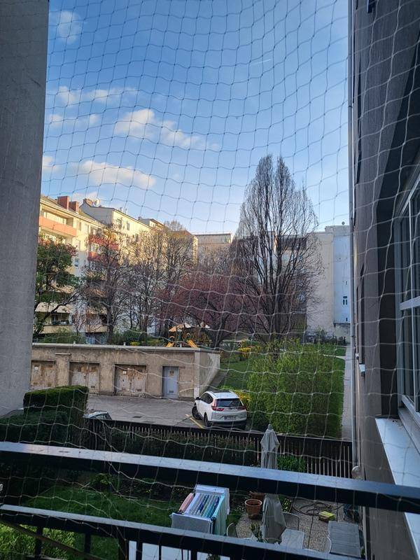 Ausblick
