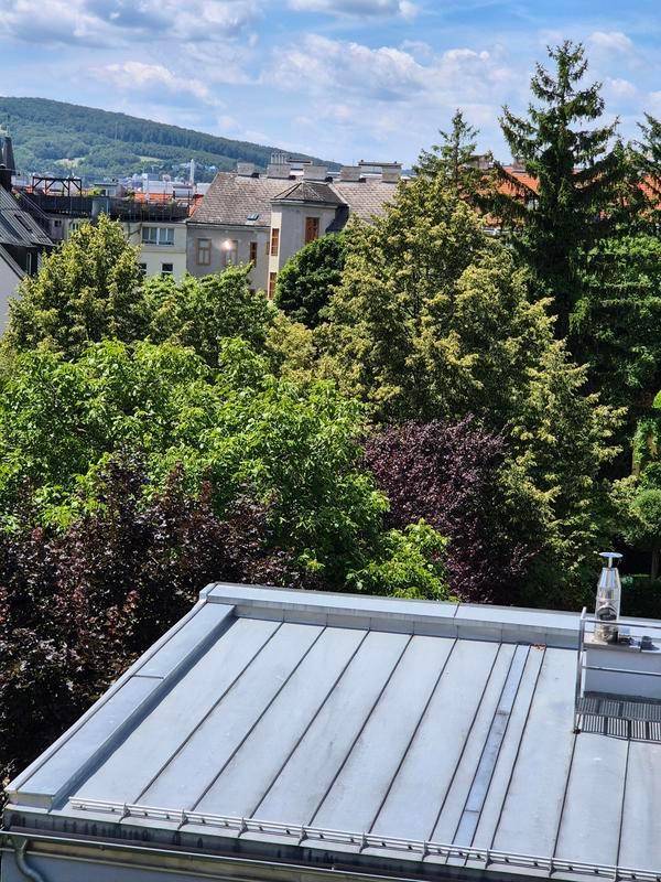 Ausblick