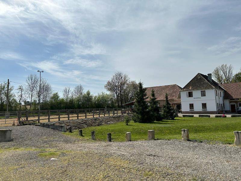 Haus