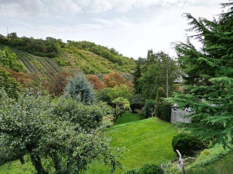 Gepflegter Garten mit Rasenfläche, vielfältigen Bäumen und einem kleinen Schuppen, mit Blick auf einen Weinberg.