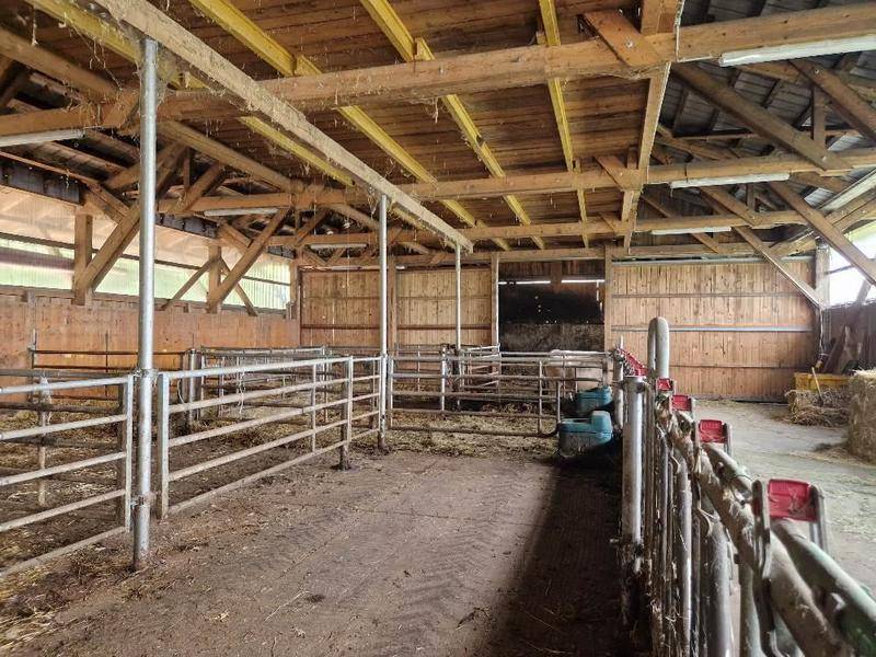 Geräumiger Innenraum eines Stalls mit Holzbalken, Metallabtrennungen und einem Erdboden.