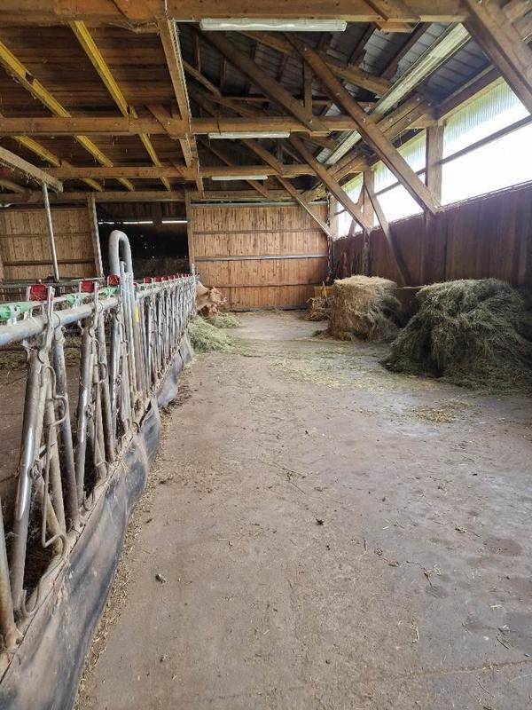 Rustikaler Stallinnenraum mit Heuballen, Futtertrögen und sichtbarer Holzkonstruktion.