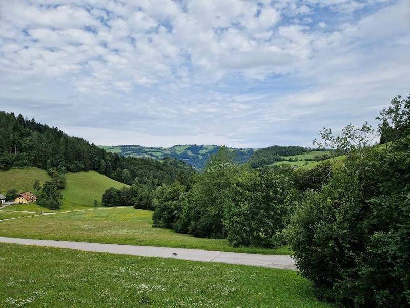 Panoramablick auf eine malerische Landschaft mit sanften Hügeln, Wäldern und einem Weg.