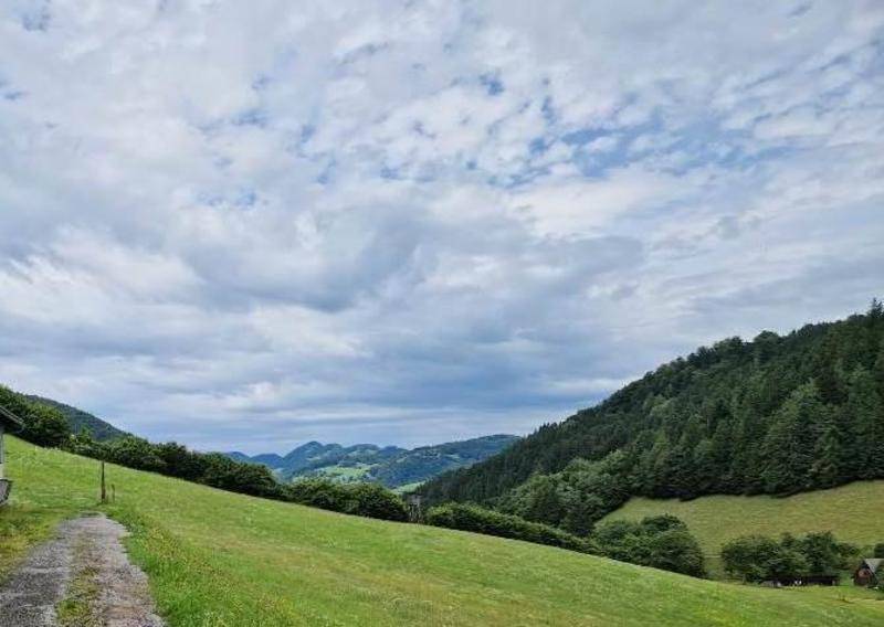 Weitläufige grüne Hügellandschaft mit dichten Wäldern und einem Pfad unter einem bewölkten Himmel.