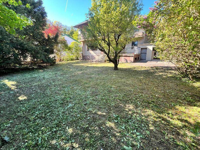 Weitläufiger Garten mit Rasen und Bäumen, das Haus ist im Hintergrund sichtbar.