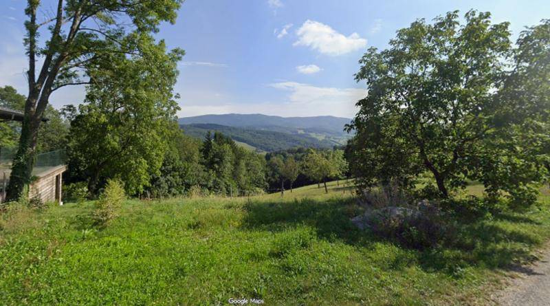 Panoramablick über eine grüne Hügellandschaft mit Bäumen und weitem Horizont an einem sonnigen Tag.
