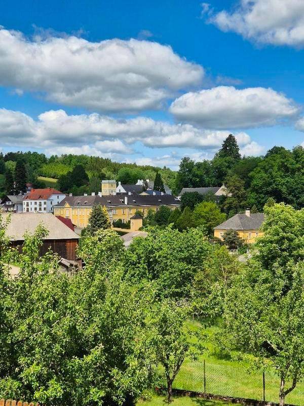 Weitläufiger Blick auf eine ländliche Siedlung mit viel Grün und Bäumen.
