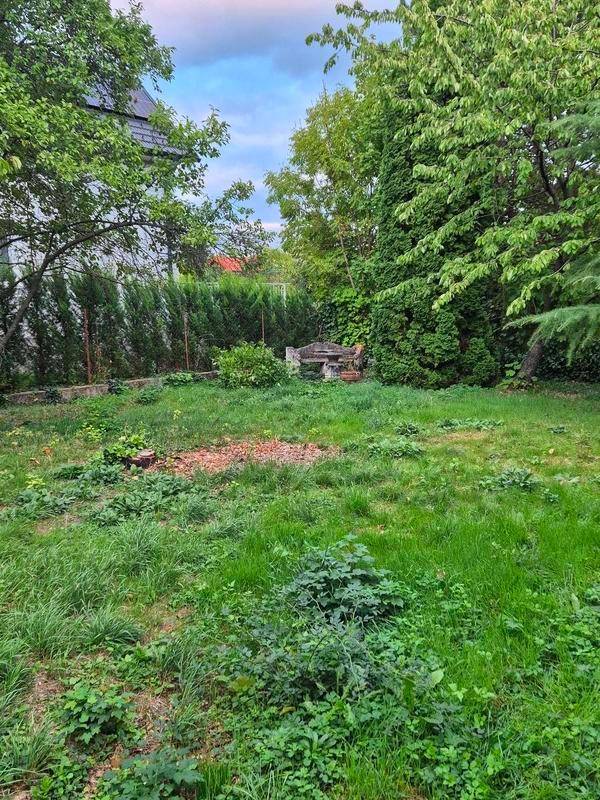 Grüner Gartenbereich mit Rasenfläche und Bäumen, bereit für die Gestaltung oder Pflege.