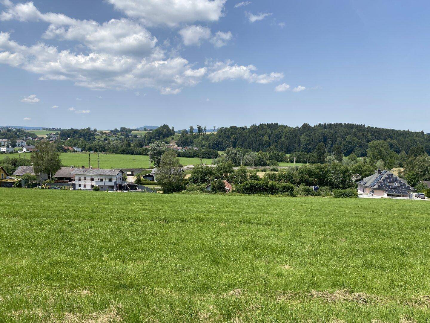 Weitläufige grüne Landschaft mit vereinzelten Häusern und Bäumen unter blauem Himmel.