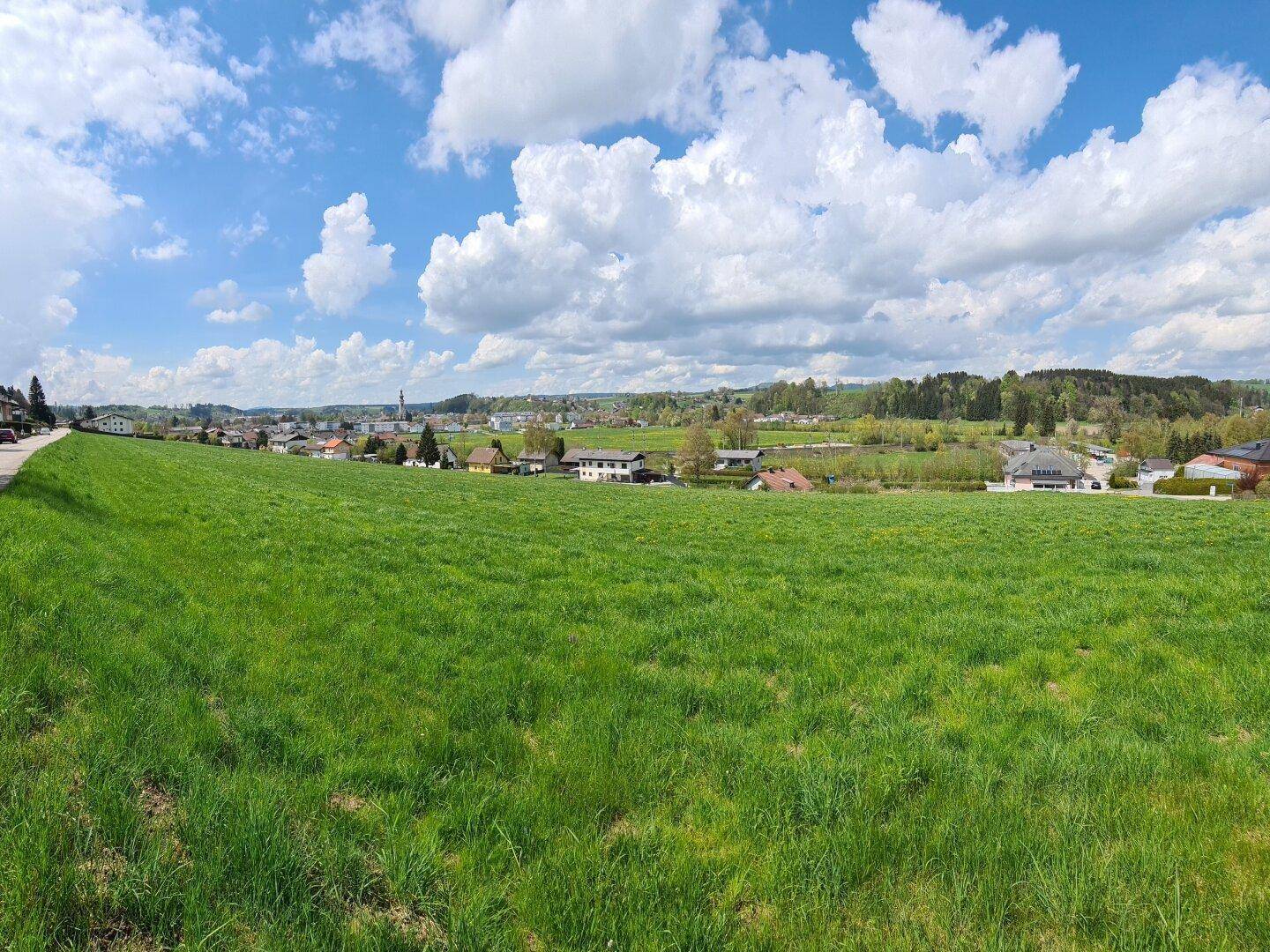 Panoramablick über eine weite grüne Wiese mit Siedlungshäusern und bewaldeten Hügeln im Hintergrund.