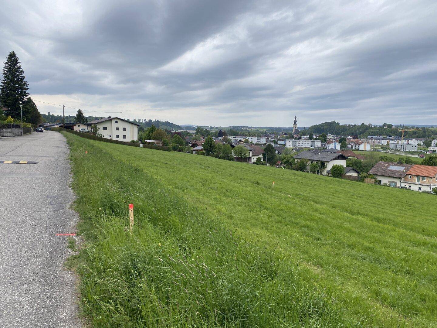Grüne Hanglage neben einer Straße mit Blick auf eine Siedlung und bewölkten Himmel.
