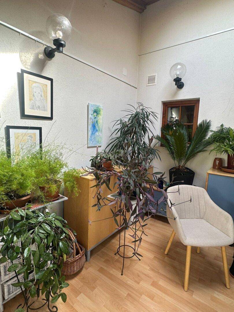 Heller Wintergarten mit vielen Grünpflanzen, Holzmöbeln und einem gemütlichen Sessel.