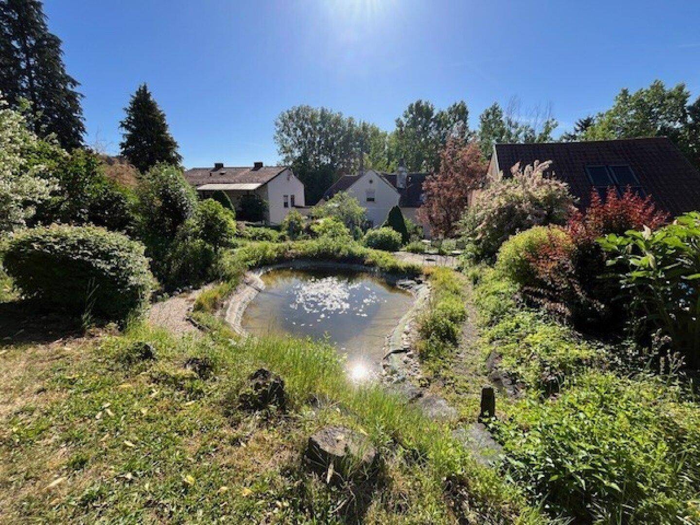 Großer Garten mit einem natürlichen Teich und üppiger Vegetation, umgeben von weiteren Häusern.