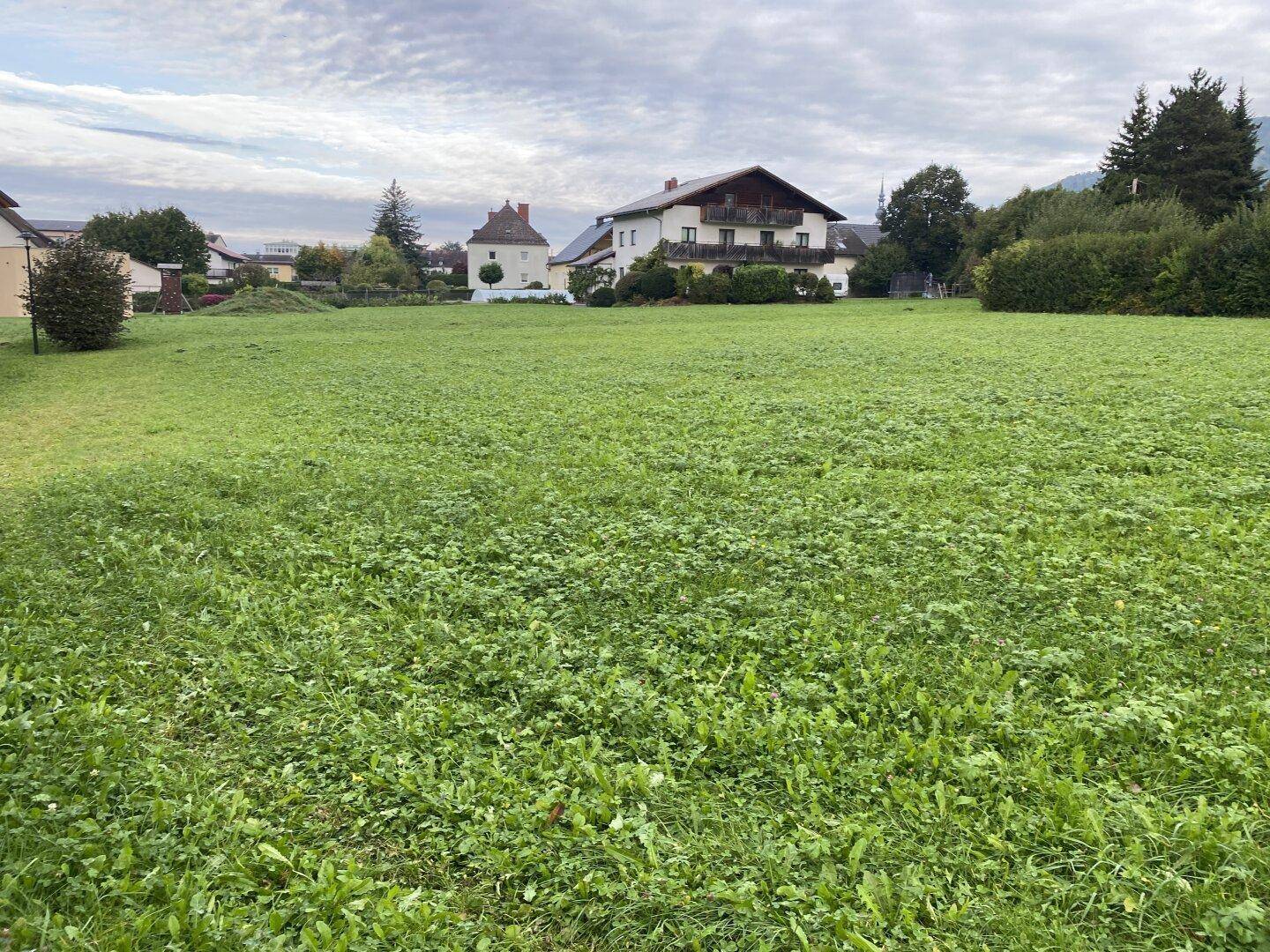 Weitläufige grüne Wiese mit ländlicher Bebauung im Hintergrund unter bewölktem Himmel.