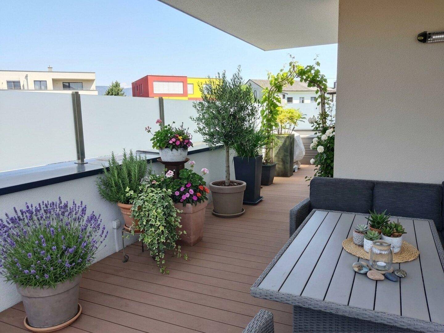 Weitläufige Terrasse mit vielfältigen Topfpflanzen, Olivenbaum und gemütlicher Sitzecke.