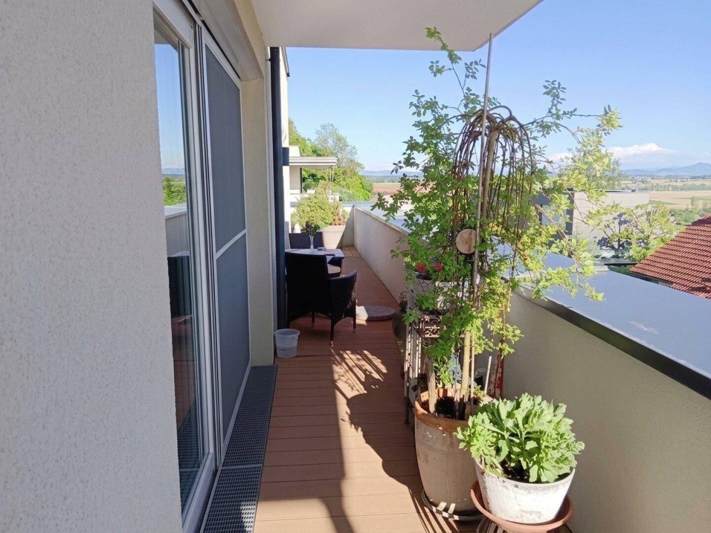 Langer Balkon mit Holzboden, Pflanzen und Zugang zum Innenbereich, bietet eine weite Aussicht.