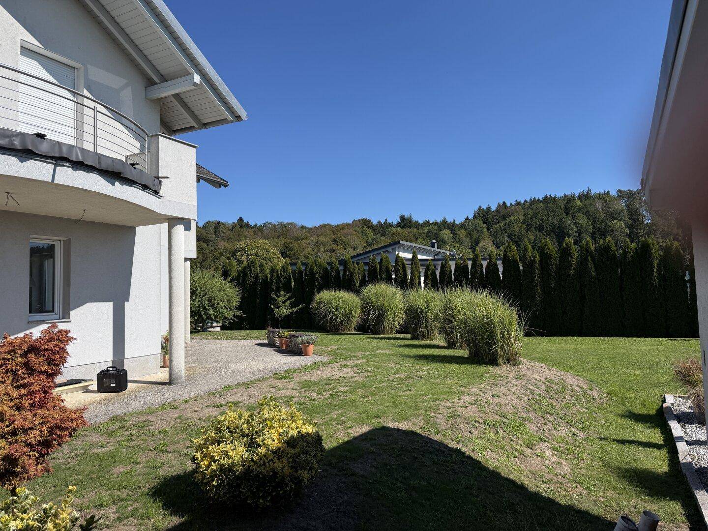 Großer, weitläufiger Gartenbereich neben dem Haus mit Rasenfläche und hoher Hecke im Hintergrund.