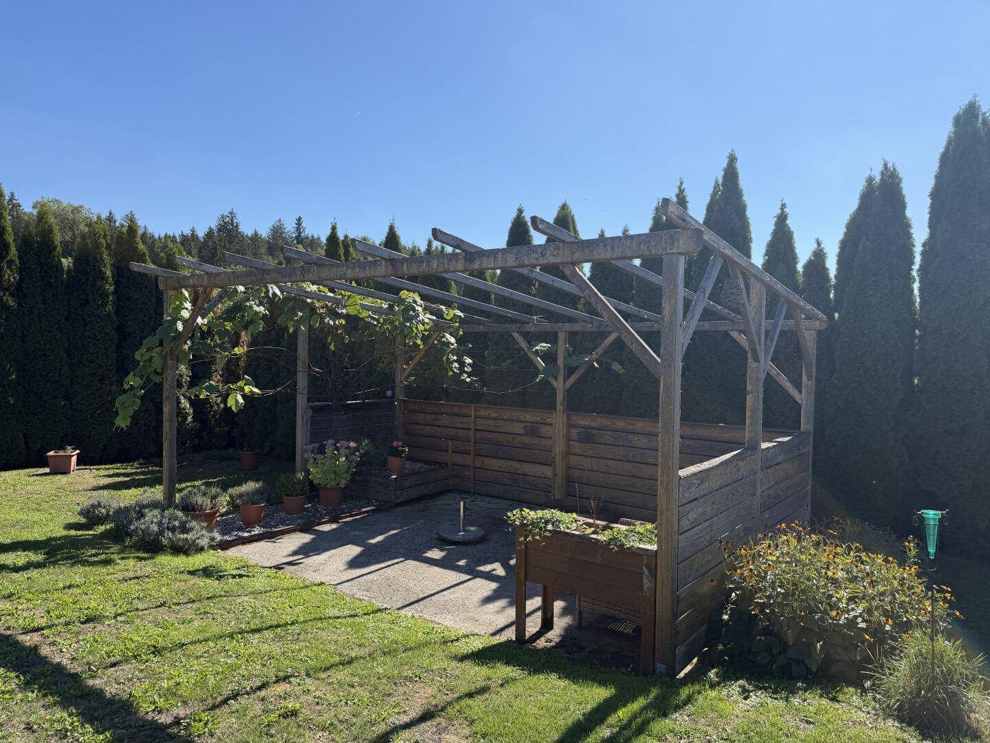 Rustikale Holzpergola im Garten, umgeben von Grünflächen und hohen Bäumen.