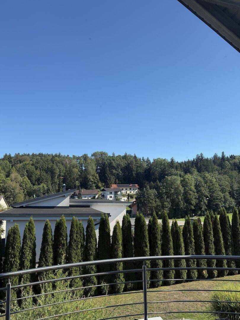 Weitblick vom Balkon über grüne Baumreihen und die umliegende Wohnbebauung.