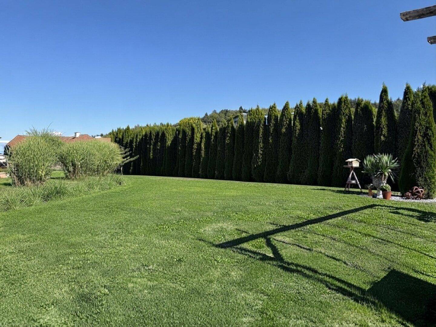 Großer, gepflegter Rasenbereich mit hoher Hecke und einzelnen Zierpflanzen unter klarem Himmel.