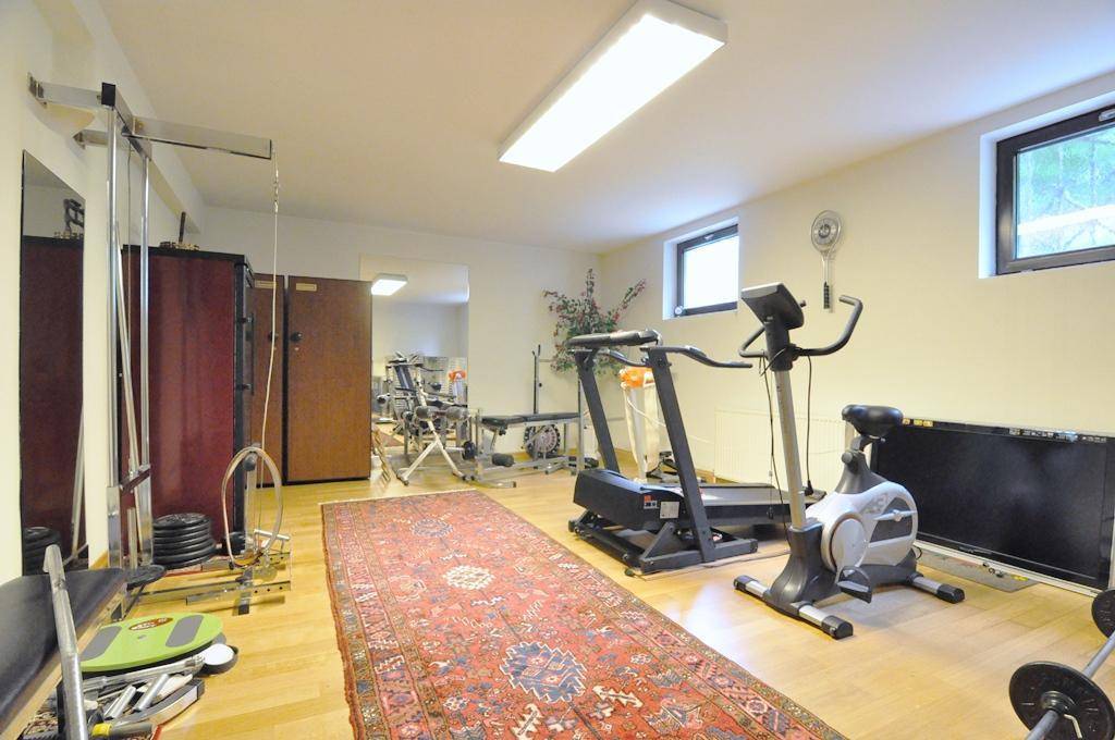 Geräumiger Fitnessraum mit verschiedenen Trainingsgeräten, Teppichläufer und Fenstern.