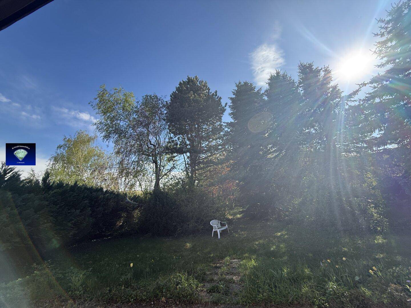 Sonniger Gartenbereich mit Rasenfläche, hohen Bäumen und einem einzelnen Gartenstuhl.