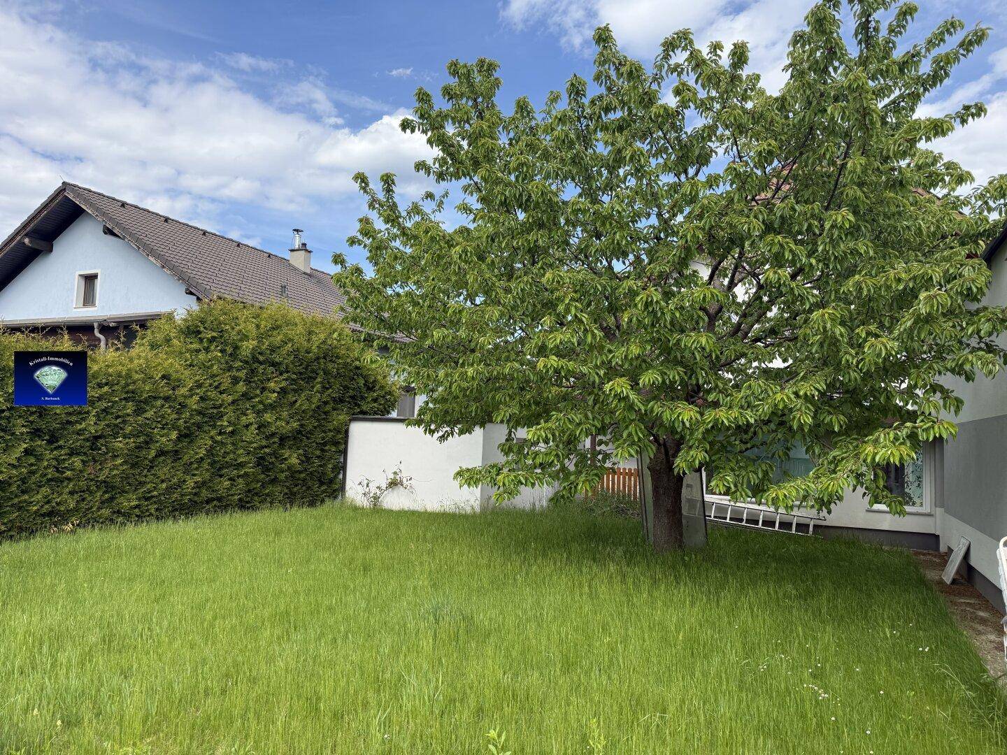 Gepflegter Gartenbereich mit großem Baum und Hecke neben dem Wohnhaus.