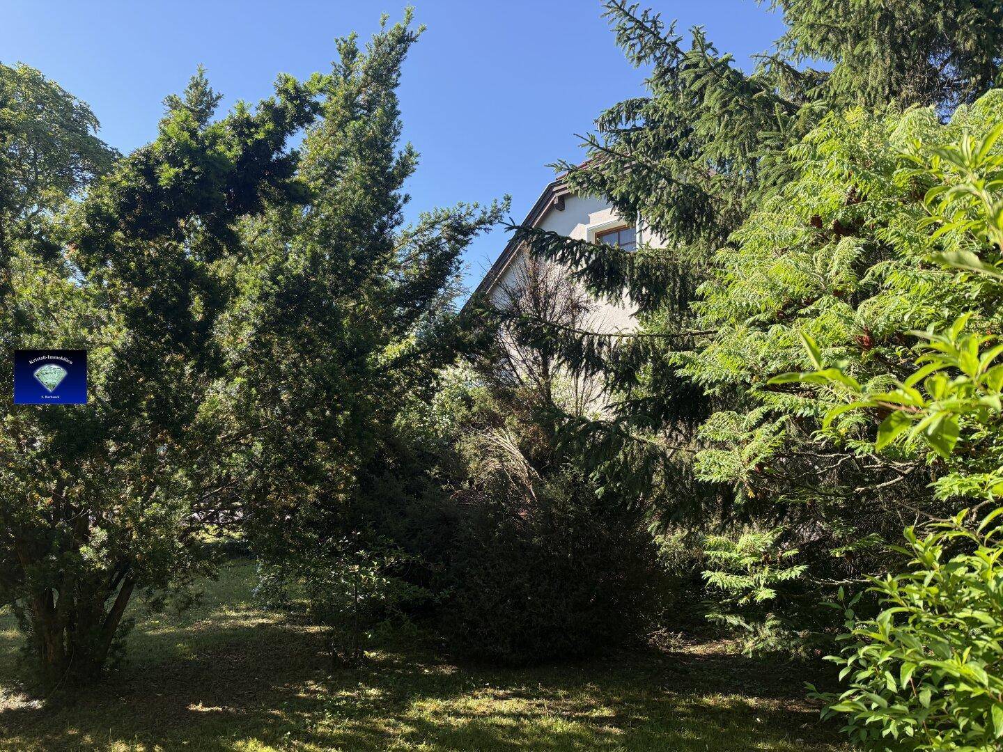 Hausfassade teilweise von hohen Bäumen und Sträuchern verdeckt, im Grünen gelegen.