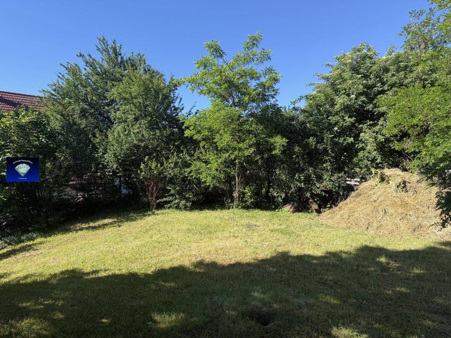 Gartenbereich mit Rasen, verschiedenen Bäumen und einem Haufen Schnittgut.