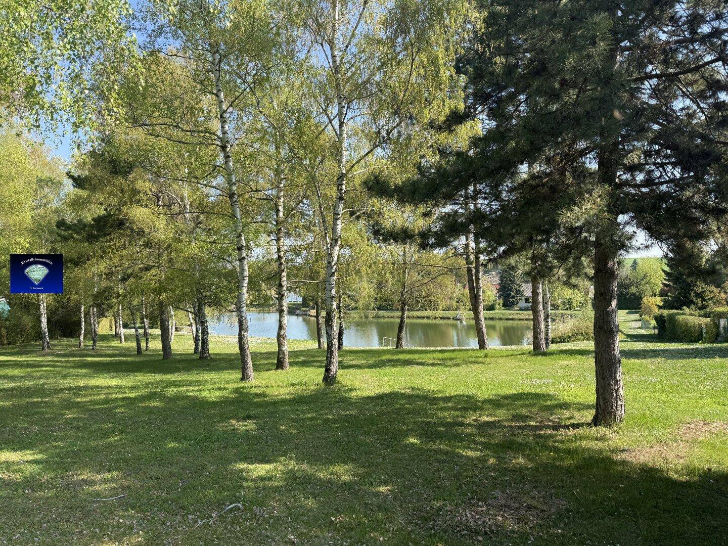 Idyllische Seenlandschaft mit Bäumen und weitläufigen Grünflächen an einem sonnigen Tag.