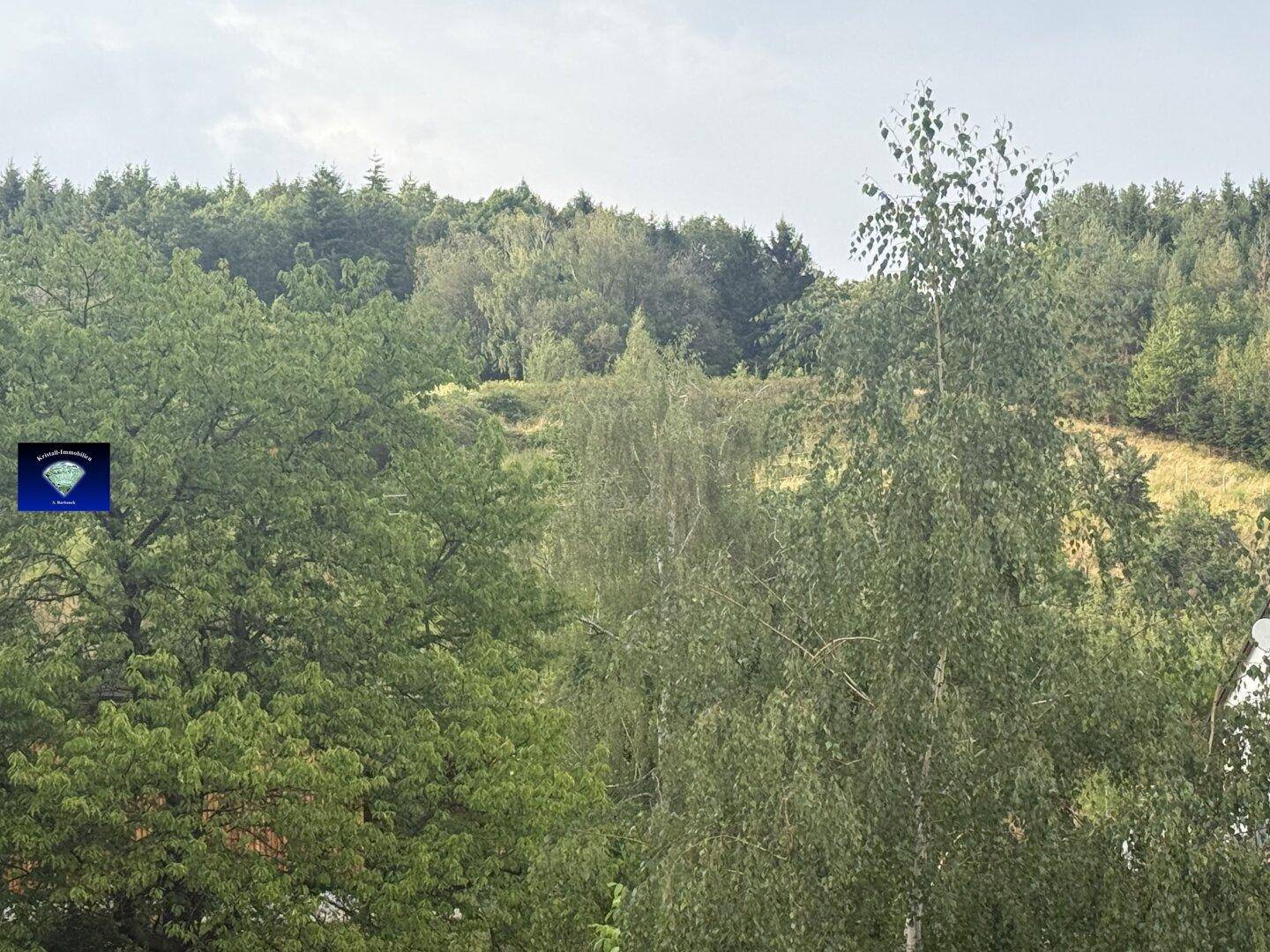 Weitläufiger Blick auf grüne Wälder und hügelige Landschaft unter bewölktem Himmel.