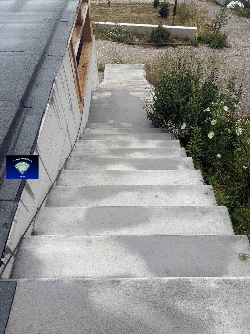 Außentreppe aus Beton führt nach unten, umgeben von etwas Grün und Wildwuchs.