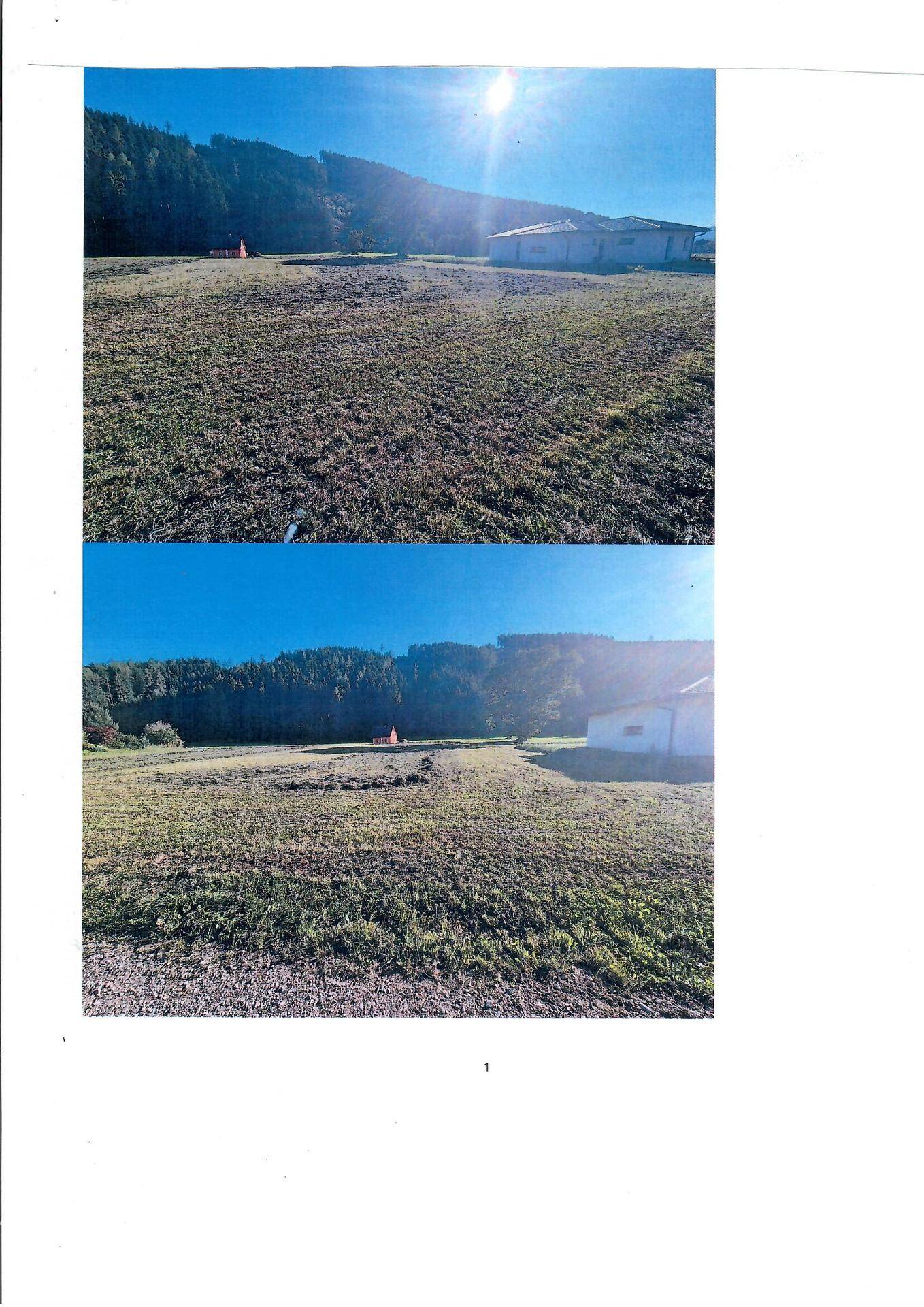 Weitläufige Grünfläche mit Blick auf bewaldete Hügel und ein Gebäude unter strahlend blauem Himmel.
