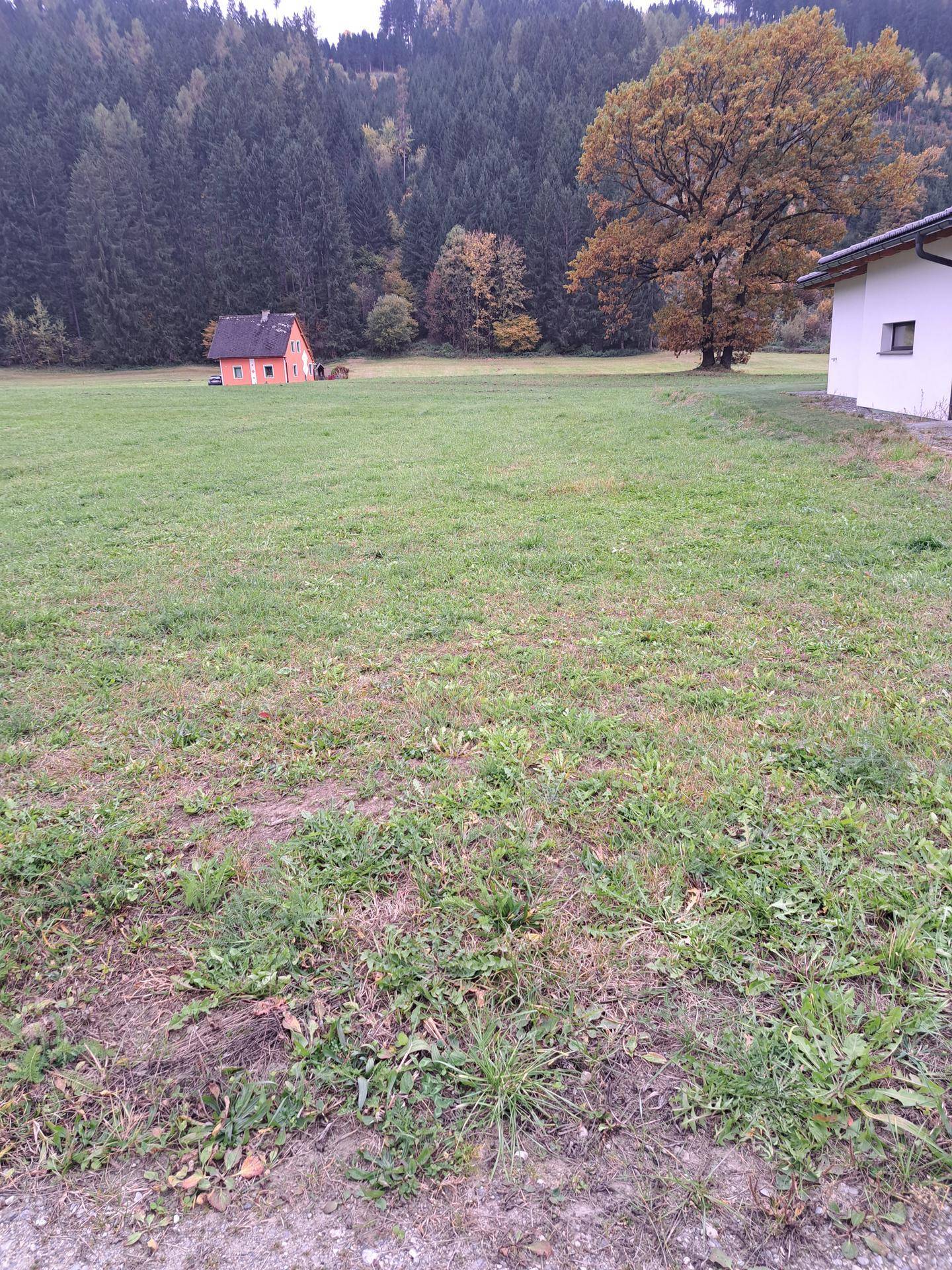 Grüne Wiese mit einem kleinen orangefarbenen Haus und einem größeren Gebäude im Hintergrund, umgeben von Wald.