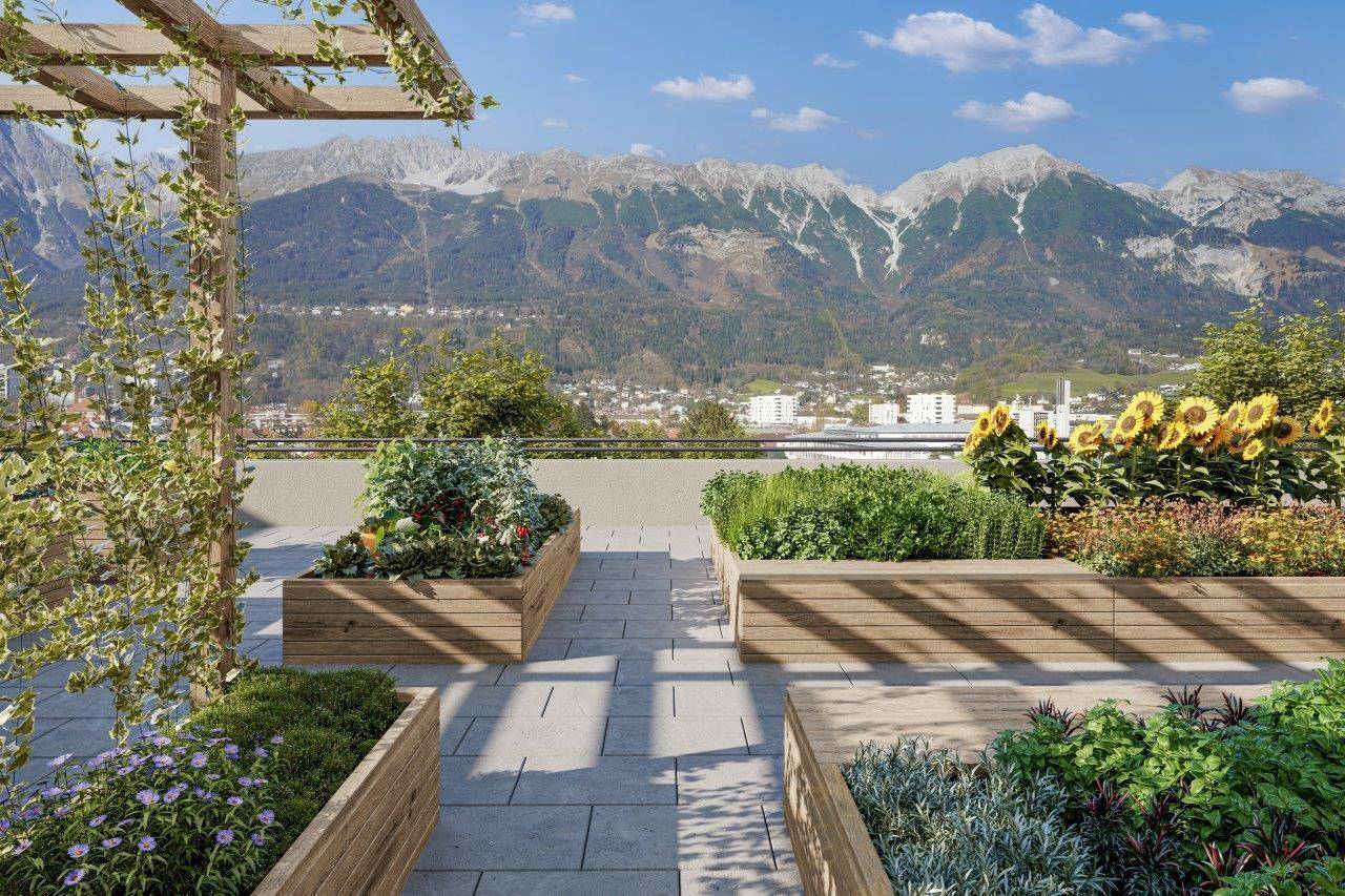 Grüne Dachterrasse mit Hochbeeten, Pflanzen und einem atemberaubenden Panoramablick auf die Berge.